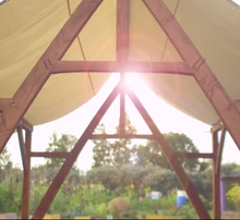 Load image into Gallery viewer, THE PARAPARA