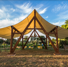 Load image into Gallery viewer, THE PARAPARA