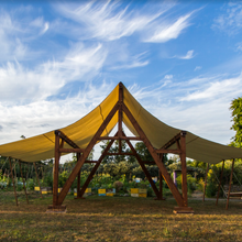 Load image into Gallery viewer, THE PARAPARA